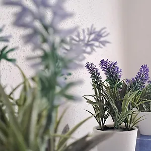  Appartamento La Tappa Del Vignaiolo